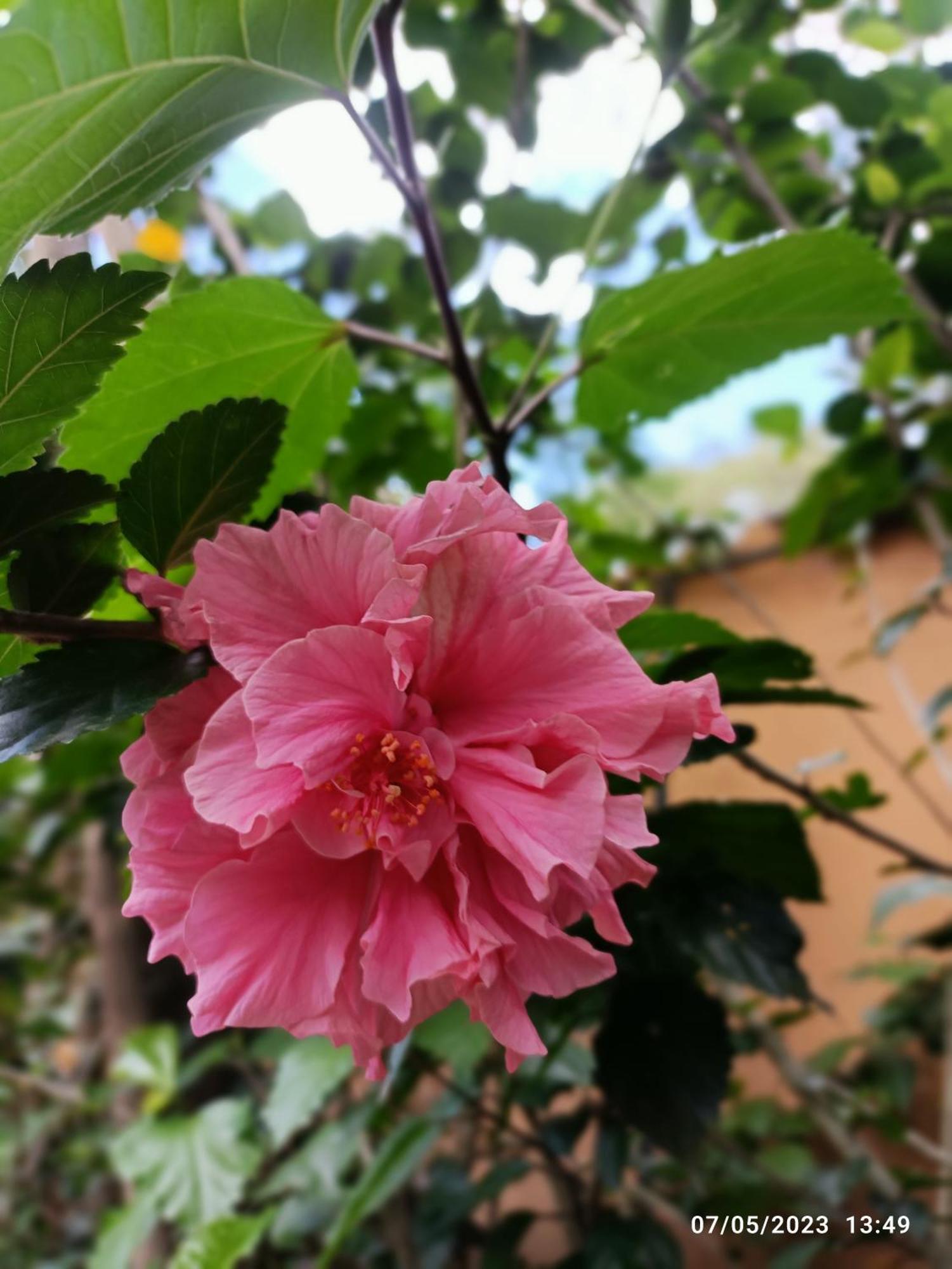 مبيت وإفطار كويتو La Casa De La Nonna المظهر الخارجي الصورة